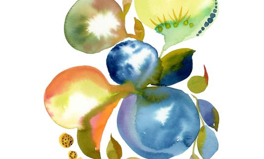 10 Organic 10_img144_web