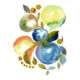 10 Organic 10_img144_web