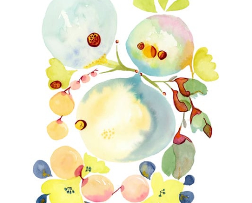 12 Organic 12_img150_web
