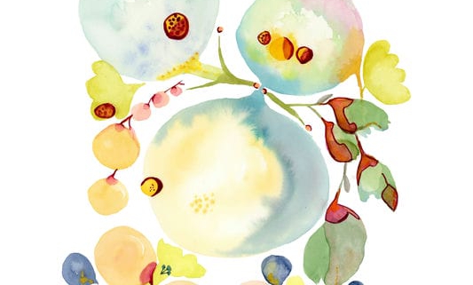 12 Organic 12_img150_web