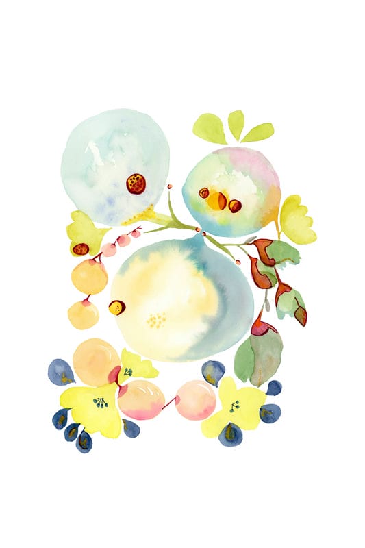 12 Organic 12_img150_web