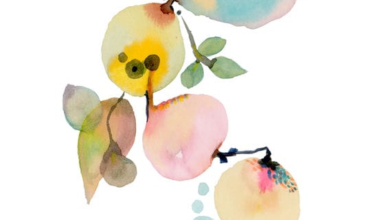 3 img141_Organic 3_web