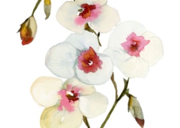 3_Flora 3_img129_web
