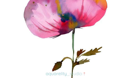 5_Flora 5_img125_web
