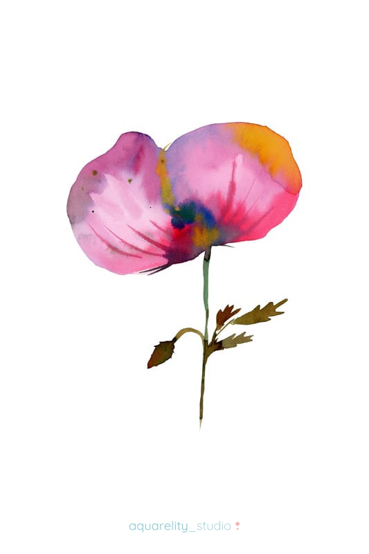 5_Flora 5_img125_web